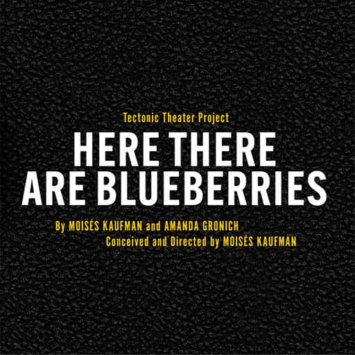 Here There Are Blueberries Anchorage Tickets